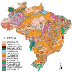Programa fará mapeamento completo dos solos brasileiros