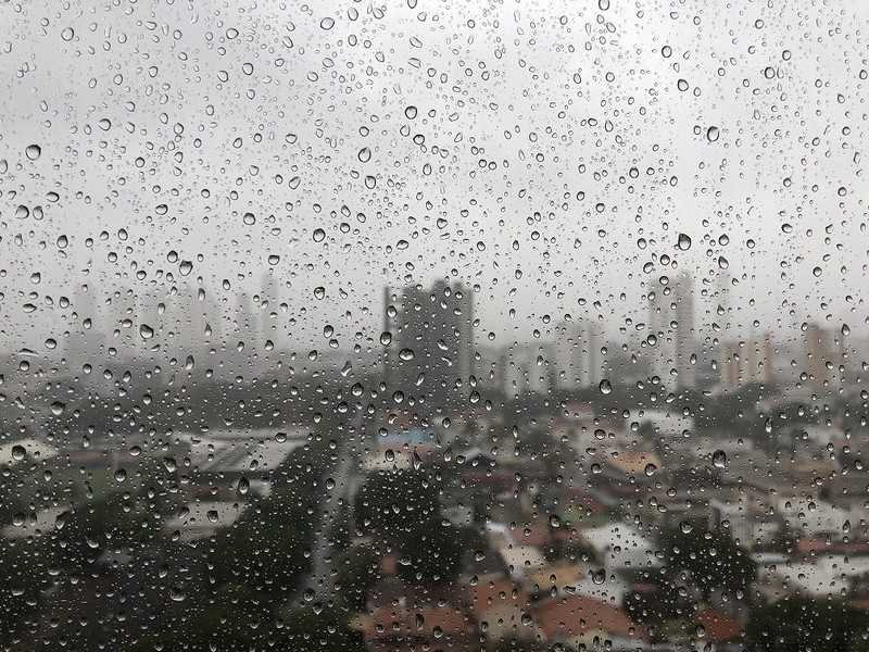 reproducao-chuva_00091346_0