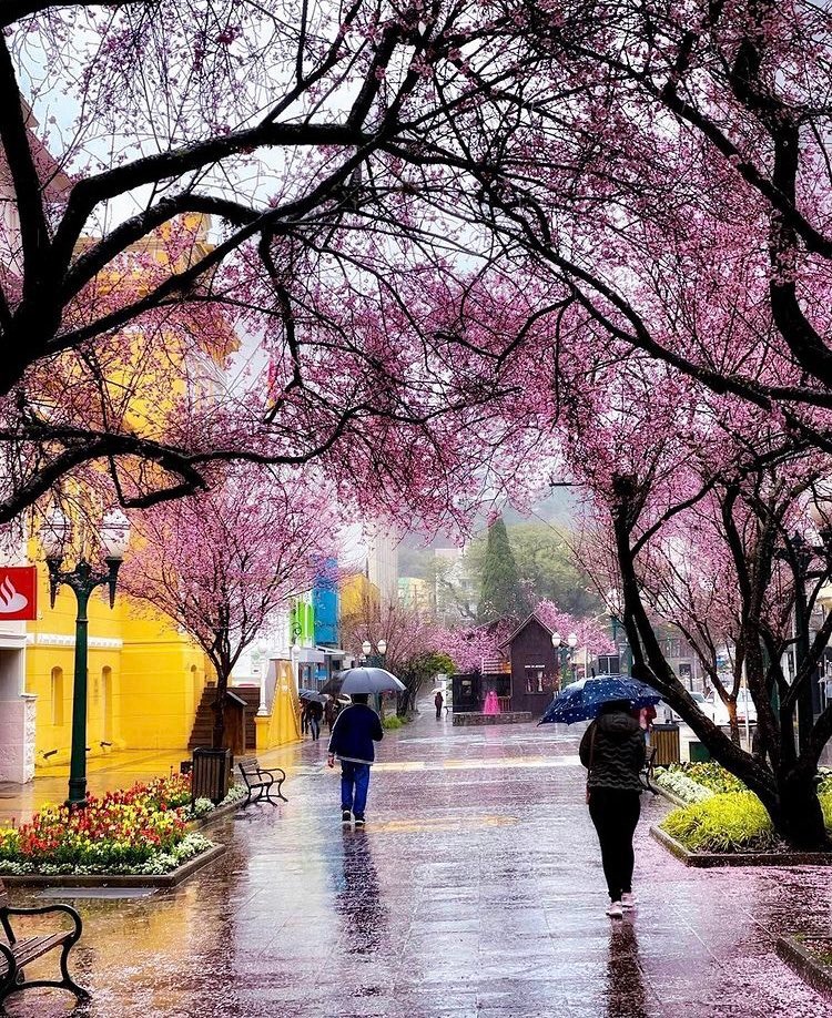 chuva
