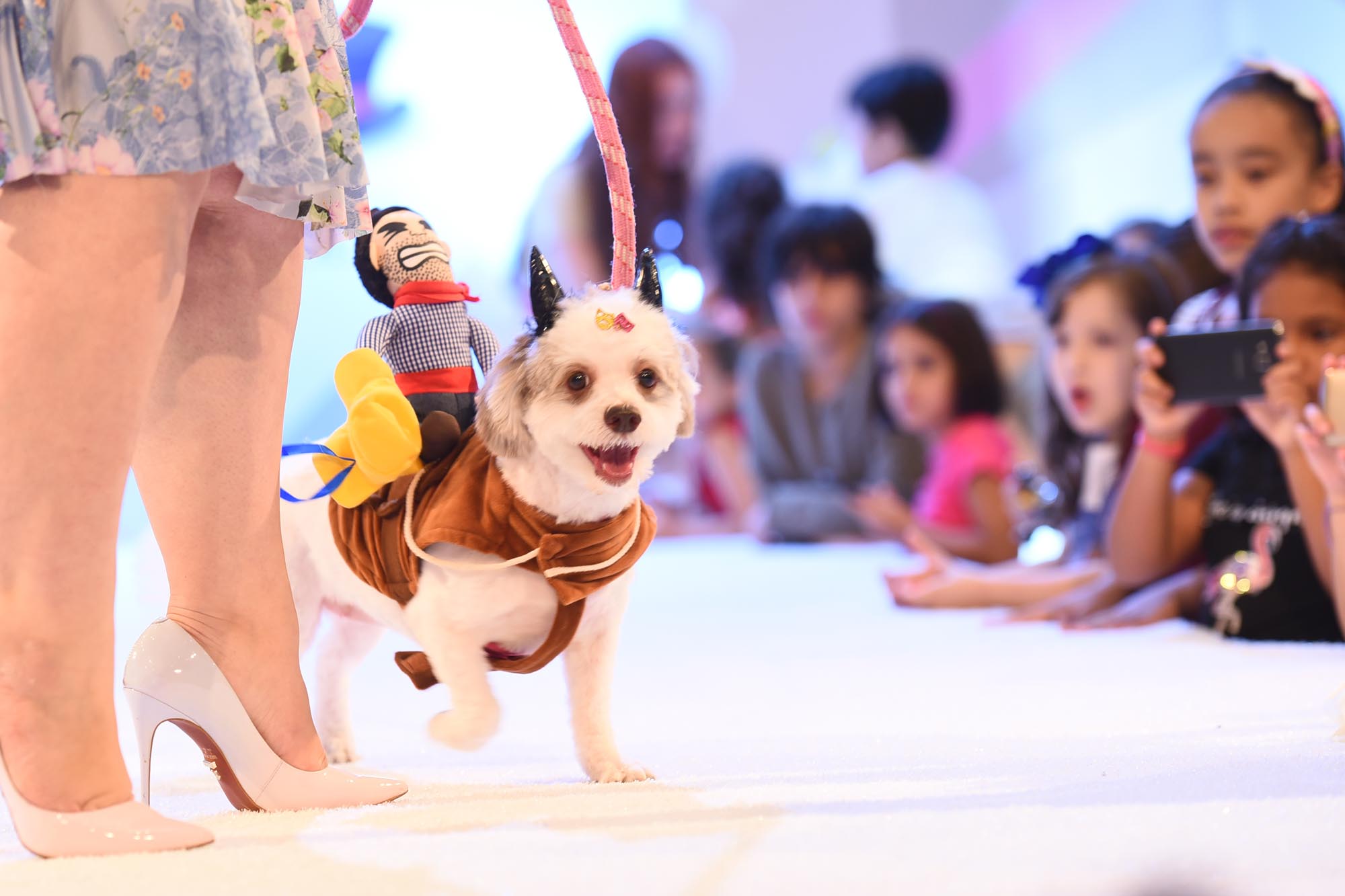 Pet-Day-Patio-Higienopolis-Fantasias-Pre-2019_4