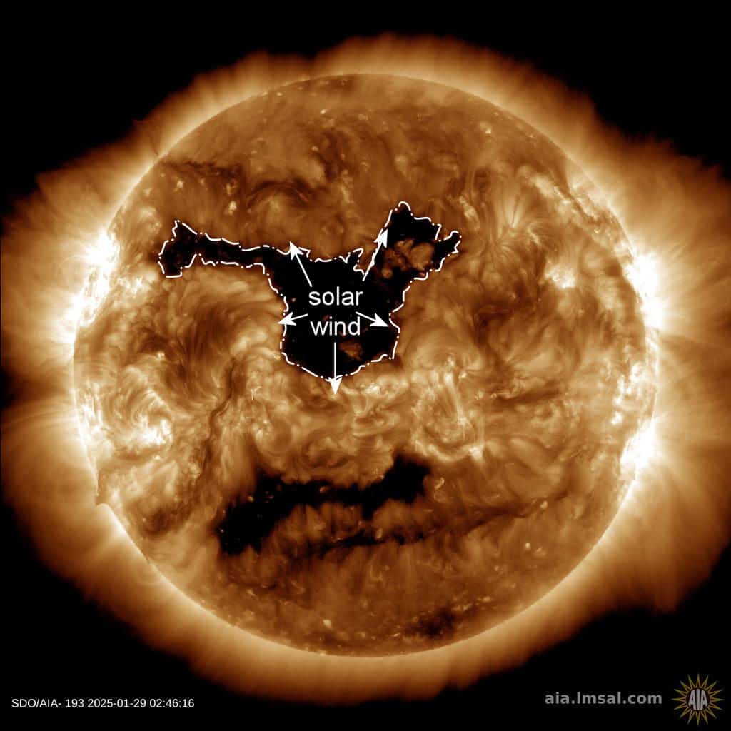 buracocoronal
