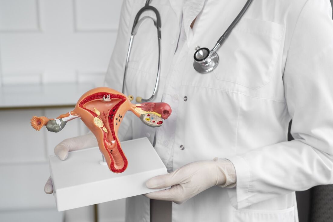 side-view-doctor-holding-anatomic-model-1