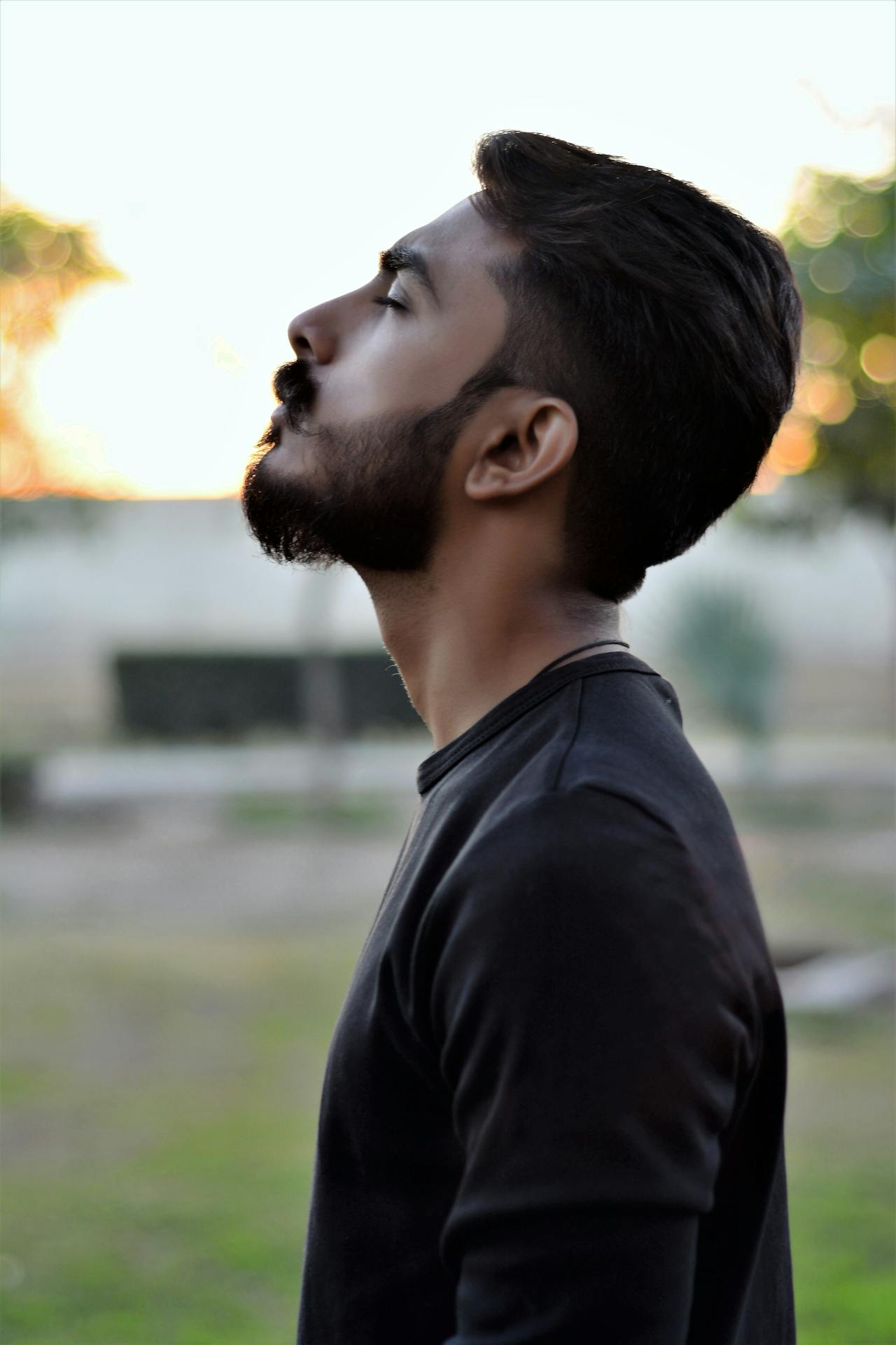 pexels-khalifa-waleed-251120-761115