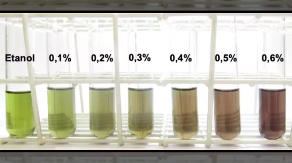 Kit químico da Unesp para detectar metanol em bebidas alcoólicas em 15 minutos, teste rápido e barato para evitar intoxicação