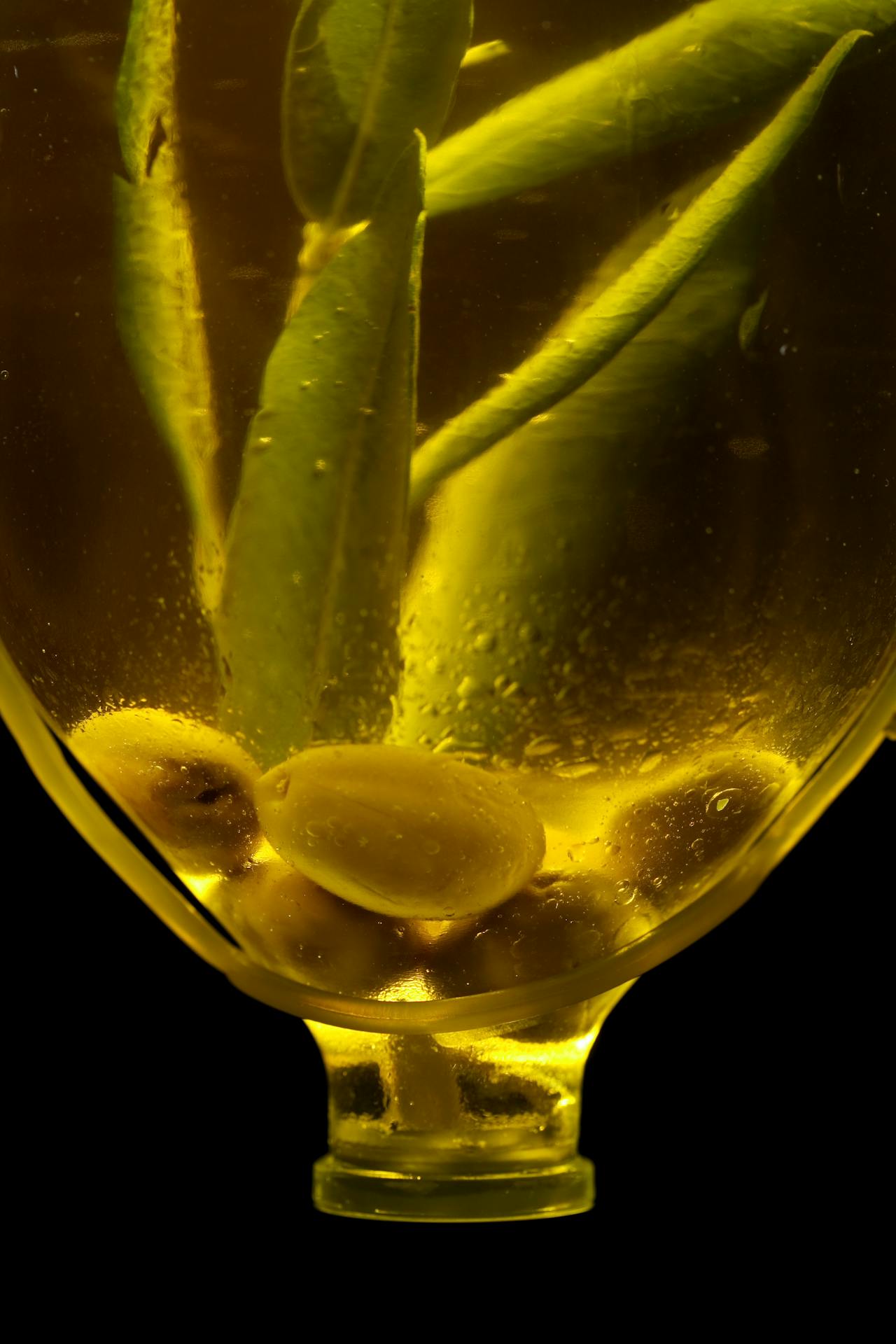 Garrafas de azeite extravirgem premiadas no guia internacional Flos Olei 2026, com destaque para marcas do Rio Grande do Sul