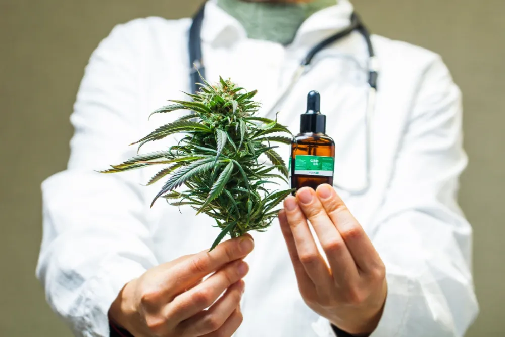 Anvisa aprovou nesta quinta, 28, uma resolução que amplia acesso a pacientes, permitindo cultivo de cannabis por empresas e manipulação em farmácias