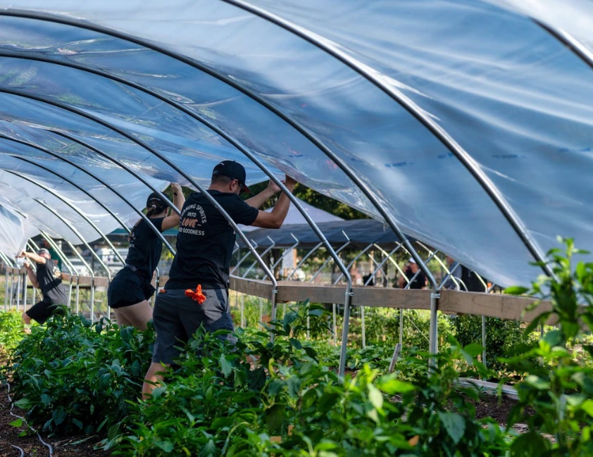 PIB cresce 2,3% em 2025 com força do agro, mas consumo das famílias desacelera
