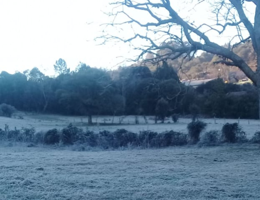 Frio derruba temperaturas para até -2,6°C nesta segunda no RS