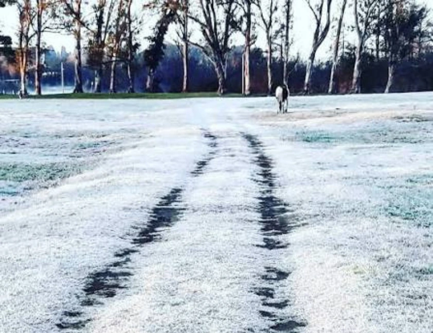 Temperaturas negativas atingem 40 municípios do RS e mínima chega a -5,2°C