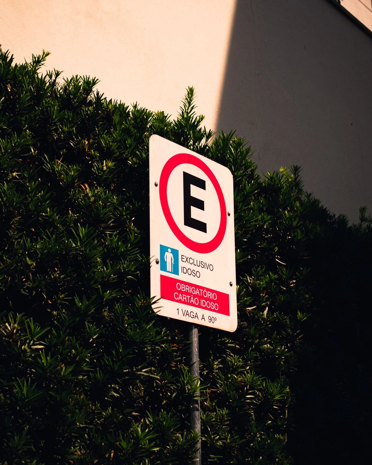 Credencial digital para estacionamento passa a ser gratuita para idosos a partir dos 60 anos