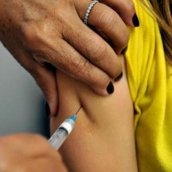 Bento recebe mil doses de vacinas contra febre amarela ao mês