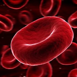 Cientistas aprofundam pesquisas para a produção de sangue em laboratório