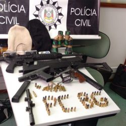 Polícia Civil apreende armas no interior de Bento