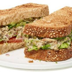 Como manter sanduíches frescos