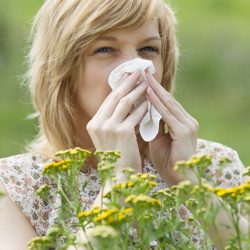 O que fazer para prevenir as alergias alimentares e respiratórias
