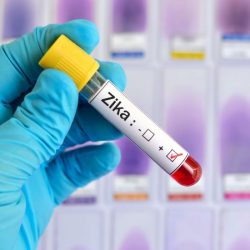 Vacinas contra Zika podem chegar ao mercado em 2021