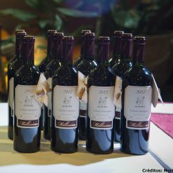Vinhos e destilados da Vinícola Aurora: opções de presentes no Dia dos Pais