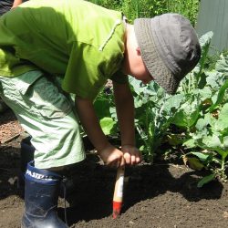 Jardinagem estimula desenvolvimento cognitivo das crianças