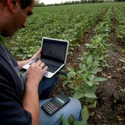 Moradores de localidades do interior sofrem com sinal precário de internet e telefonia móvel