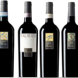 Domno firma parceria com famosa vinícola Italiana