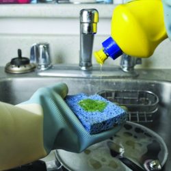 Esponja usada incorretamente prolifera bactérias
