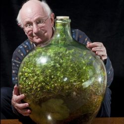 Jardim cultivado dentro de garrafa sobrevive há 57 anos sem regas