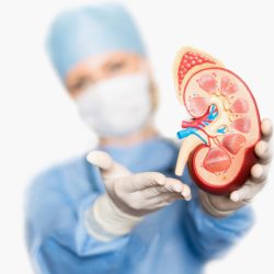 Transplante de órgãos aumenta mais de 20% em 2017