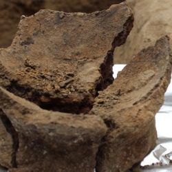 Produzido há 8 mil anos, vinho mais antigo do mundo é descoberto na Geórgia