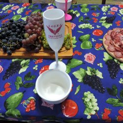 Circolo Trentino promove Degustação Uvas, Vinhas & Vinhos- Slow Wine