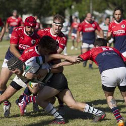 Rugby gaúcho trabalha para aumentar a base em 2018