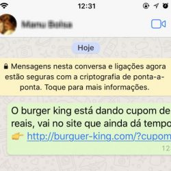 Novo golpe no WhatsApp promete falso cupom do Burger King