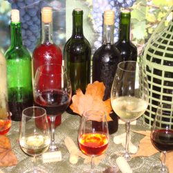 Embrapa promove curso básico de elaboração de vinhos