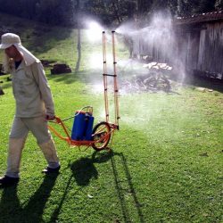 Chineses desenvolvem pesticida  de baixa contaminação