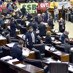 Assembleia aprova projetos de  reestruturação do IPE
