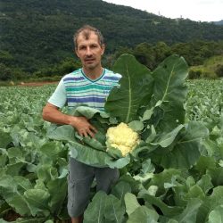 Cultivo de hortifrúti gera renda extra para produtores rurais