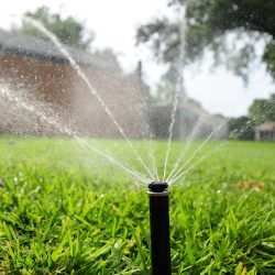 As regras essenciais para uma melhor irrigação