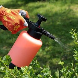 Nove incríveis motivos para  usar água oxigenada no jardim