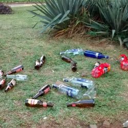 Aprovação da lei que proíbe consumo de bebida alcoólica em lugares públicos divide opiniões