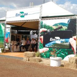 Embrapa lança duas tecnologias voltadas para a agricultura familiar e fruticultores