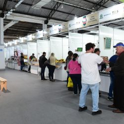 Presença da Agroindústria cresce 33% na ExpoBento 2018