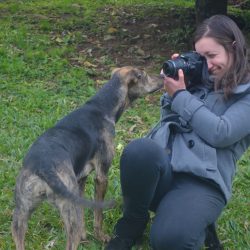 Estudantes fotografam cães e ajudam ONG no processo de adoção