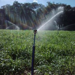 Os sistemas de irrigação corretos para produção na agricultura