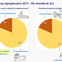 Censo Agro 2017 revela perfil agropecuário do Rio Grande do Sul