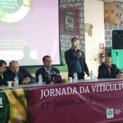 XVIII jornada da vitivinicultura gaúcha reúne mais de 300 produtores rurais