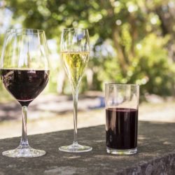 Venda de vinhos brasileiros se mantém no primeiro semestre