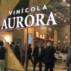 Vinícola Aurora leva vinhos premiados à  primeira edição do Wine South America