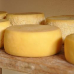 Comer queijo diariamente ajuda a prevenir infarto