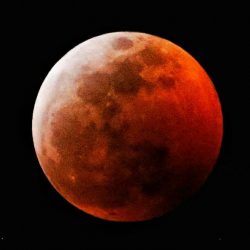 Fotógrafo amador registra a beleza da eclipse lunar da  madrugada desta segunda-feira