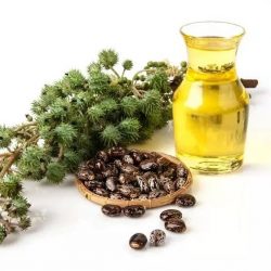 12 benefícios do óleo de rícino para a saúde
