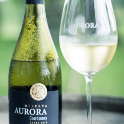 Vinho Aurora Reserva Chardonnay é medalha “Gran Ouro” no concurso Bacchus Internacional, na Espanha